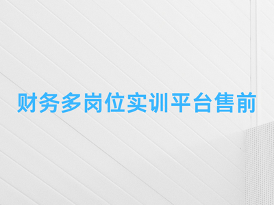 财务多岗位实训平台售前-这就是产品