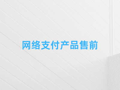 网络支付产品售前-这就是产品