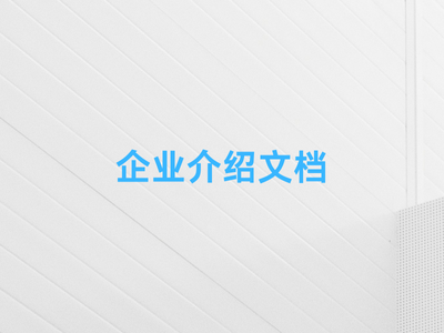 企业介绍文档-这就是产品